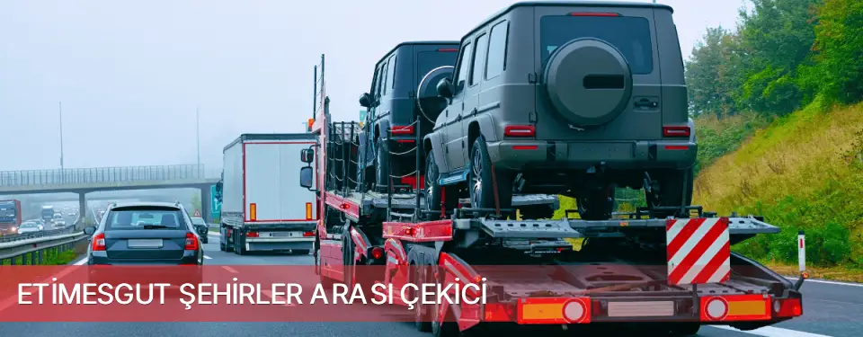 Etimesgut İlçemi Şehirler Arası Çekici