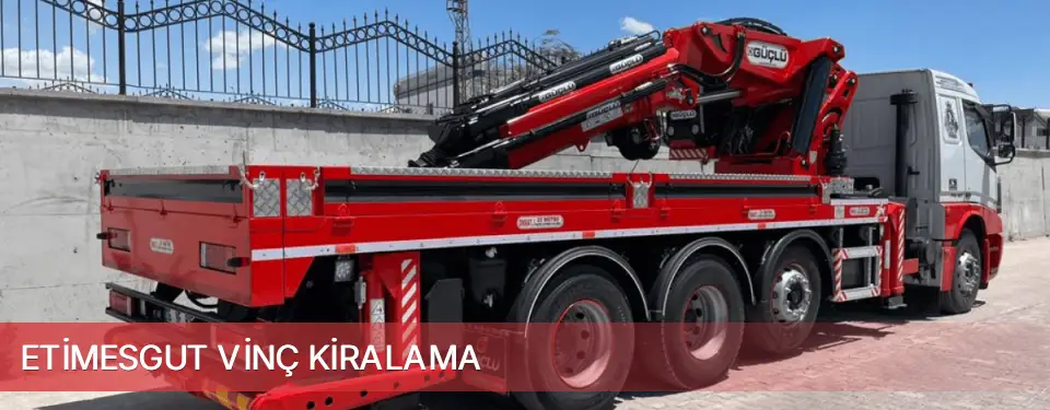 Etimesgut İlçemi Vinç Kiralama